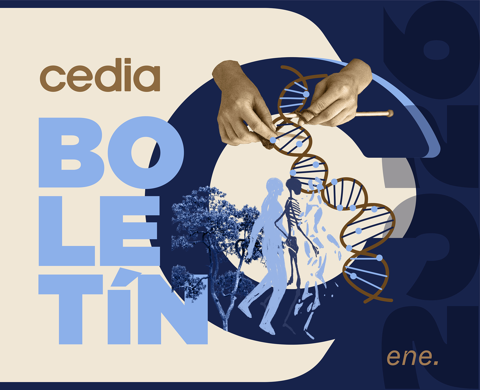 Boletin-enero2025