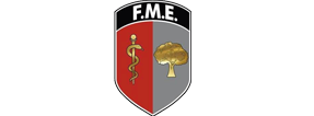 logotipo da FME