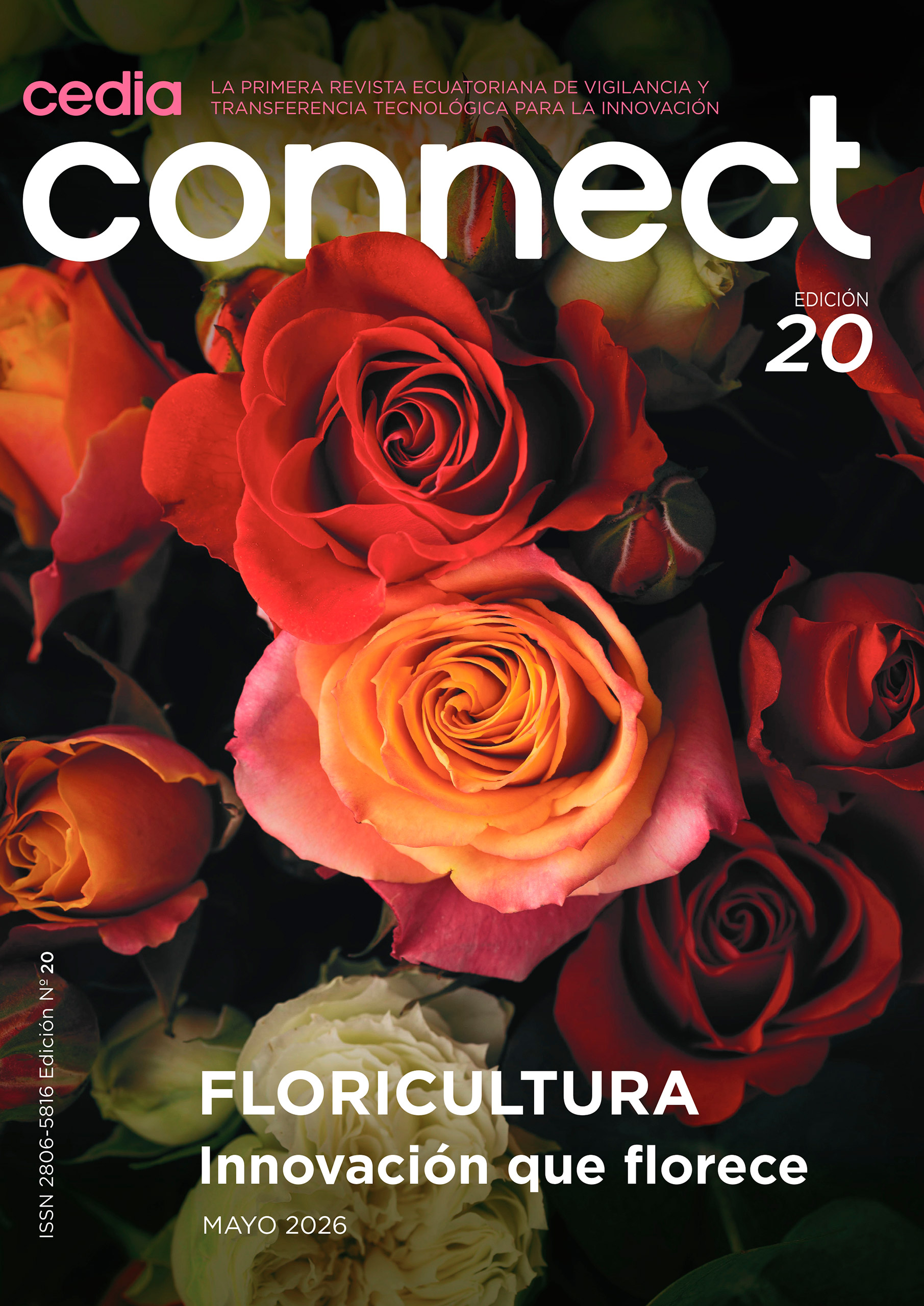 Connect_20